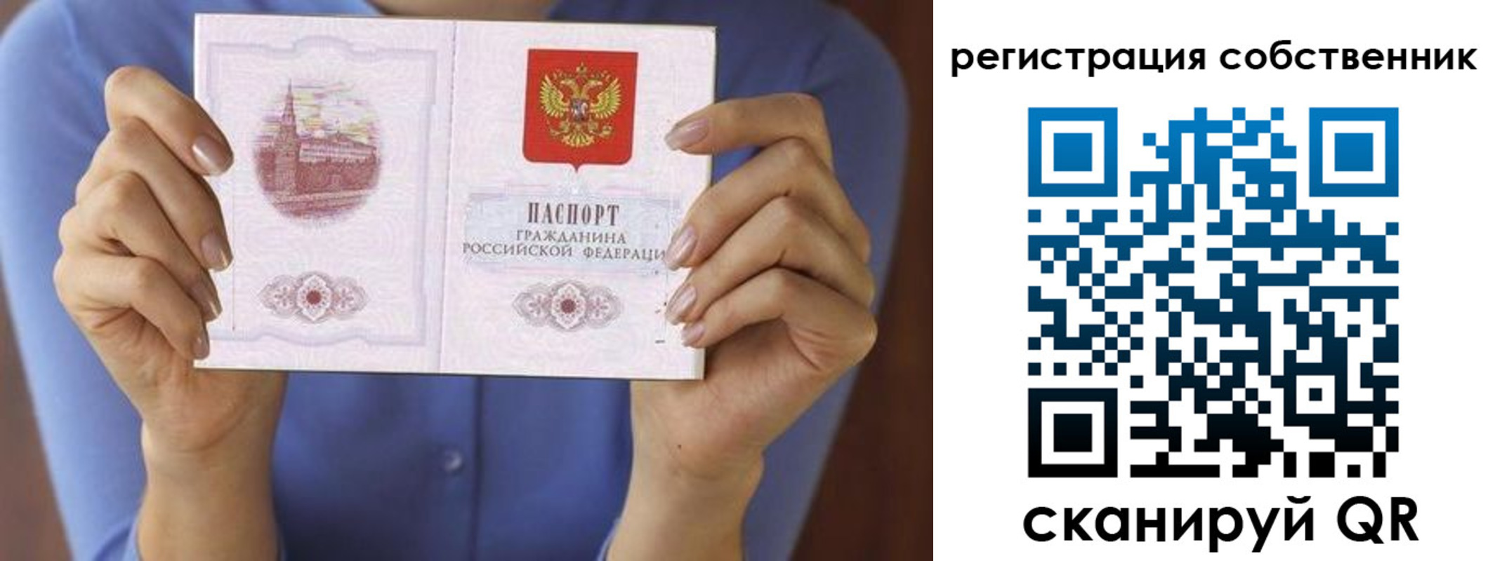 временная регистрация гарантия в Волгоградской области